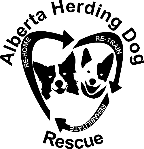 Alberta (AB) Herding Dog Rescue